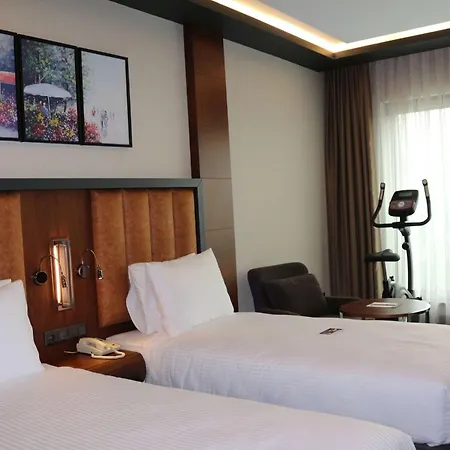 Tryp By Wyndham Maltepe Hotel *